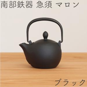 岩鋳（IWACHU） 急須 南部鉄器 ティーポット カラーポット ポワール 赤