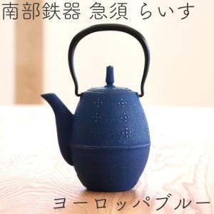 急須 南部鉄器 ティーポット カラーポット 岩鋳 らいす ヨーロッパブルー 0.6L  EBU 日本製 おしゃれ 茶こし付き 鉄急須 かわいい ギフト 製品保証付き