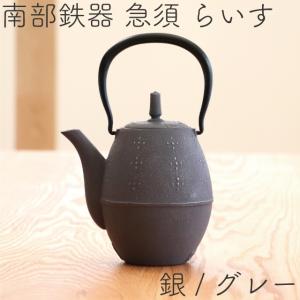 岩鋳（IWACHU） 急須 南部鉄器 ティーポット カラーポット らいす 黒
