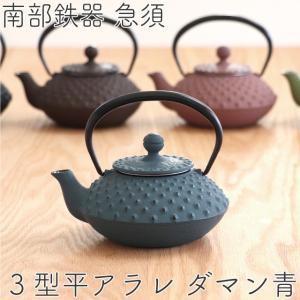 急須 南部鉄器 ティーポット カラーポット 岩鋳 3型 平アラレ ブルー 0.35L 日本製 おしゃれ 茶こし付き 鉄急須 かわいい ギフト 製品保証付き｜kitchengoods