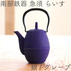 岩鋳（IWACHU） 急須 南部鉄器 ティーポット カラーポット らいす 黒