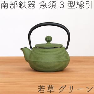 岩鋳（IWACHU） 急須 南部鉄器 ティーポット カラーポット 3型線引