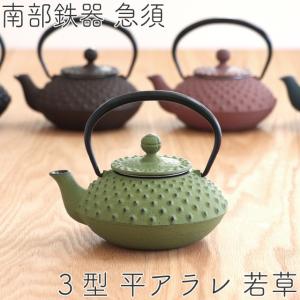 急須 南部鉄器 ティーポット カラーポット 岩鋳 3型平アラレ グリーン 0.35L 日本製 おしゃれ 茶こし付き 鉄急須 かわいい ギフト 製品保証付き｜kitchengoods