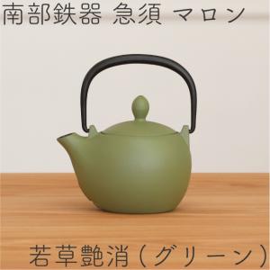 岩鋳（IWACHU） 急須 南部鉄器 ティーポット カラーポット 3型線引