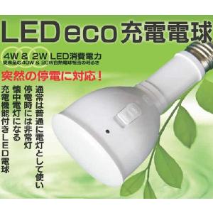 計測技研　ＬＥＤeco充電電球　４Ｗ　ＬＥＤ懐中電灯　電球型｜kitchenoutlet