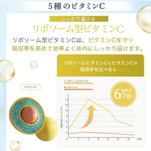 キテン リポソームビタミンC サプリメント 2...の詳細画像4