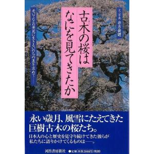 古木の桜はなにを見てきたか/バーゲンブック