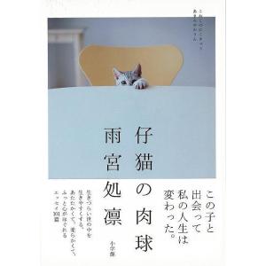 仔猫の肉球/バーゲンブック