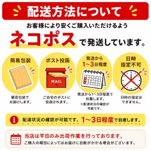 Chacott チャコット ラスティングベース...の詳細画像1
