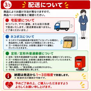 Chacott チャコット ラスティングベース...の詳細画像4