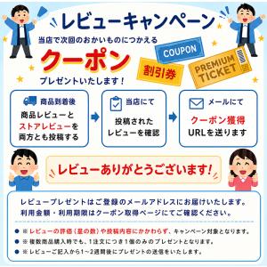 Chacott チャコット ラスティングベース...の詳細画像5