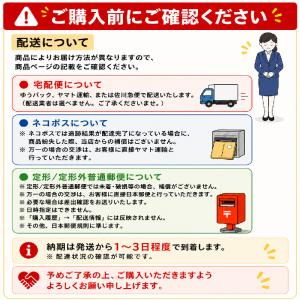 アリミノ ダンスデザインチューナー フラプライ...の詳細画像2