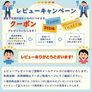 オルビス エッセンスイン ヘアミルク 140g...の詳細画像4
