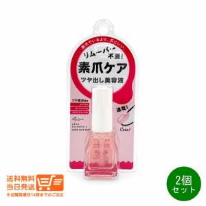エテュセ ettusais クイックケアコート 9ml 2個セット 爪用美容液 ネイル美容液 速乾 透明コート｜卉島