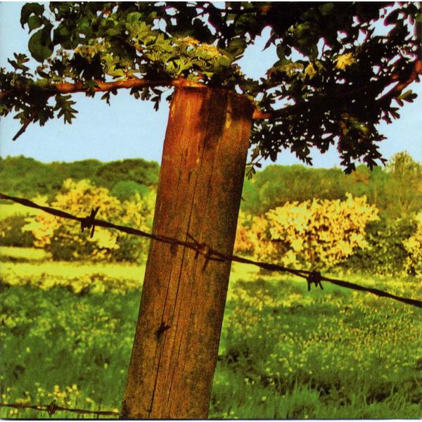 The FIELDS OF HAY - Songs For Nine Ladies