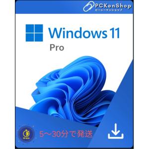 Microsoft Windows 11 Pro リテール版　プロダクトキー　オンラインコード｜kitsunekenshop