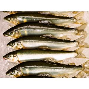 生鮎 1Kg 湧水育ち 鮎 天然仕立て バーベ...の詳細画像2