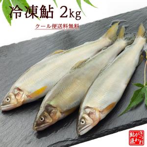 冷凍鮎 2kg 個包装 ギフト 贈答品