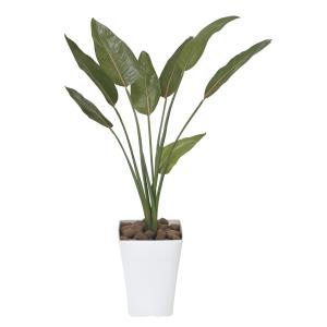 人工観葉植物 光触媒加工 ウンベラータ1.65m 代引き不可 フェイク