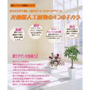 人工観葉植物 光触媒加工 パキラ90cm 代引...の詳細画像1