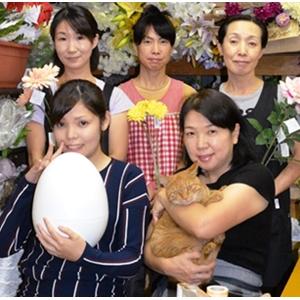 人工観葉植物 光触媒加工 パキラ90cm 代引...の詳細画像2
