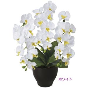 アートフラワー用こて コテセット : 風花Hu-Ka Yahoo!店 - 通販