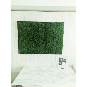 造花 グリーン壁掛け モス壁掛け ナチュラル素材...の商品画像