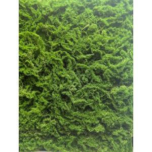 造花 グリーン壁掛け モス壁掛け ナチュラル素...の詳細画像2