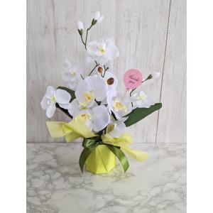 造花 御供えアレンジ 胡蝶蘭ポット 仏花アレンジ 触媒加工 : きつつき