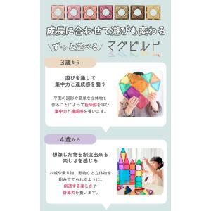 【 グッド・トイ 受賞 】 Kitwell 公...の詳細画像5
