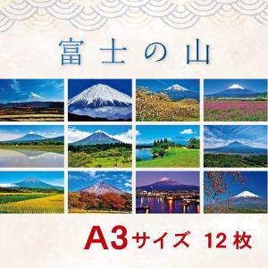 世界遺産富士山 ポスター集【富士の山】B4サイズ 13枚綴り メール便