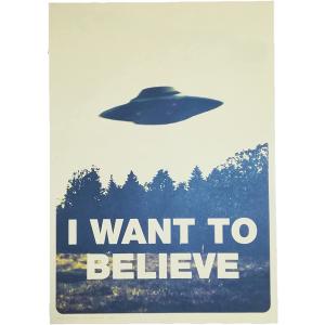 ポスター 私は信じたい I Want to Be...の商品画像