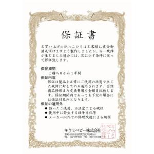 日本正規品保証付 キウミの抱っこひも・ポーチ付...の詳細画像3