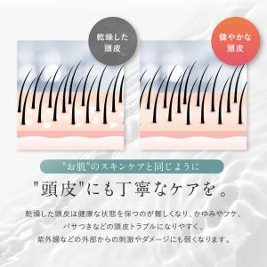 スカルプ マッサージ コンディショナー ノンシ...の詳細画像4