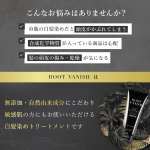 白髪染め 3本セット カラートリートメント 部...の詳細画像2