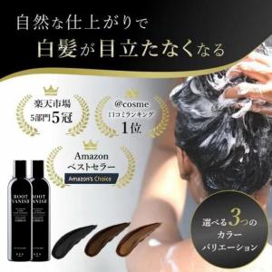 白髪染め 2本セット カラーシャンプー 部分染め 綺和美 ヘアマニキュア 白髪 白髪染 簡単 手軽 ヘアカラー 女性用 男性用 kiwabi ROOT VANISH 送料無料