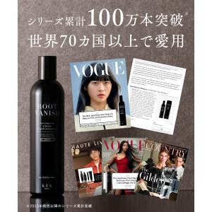 【爆買WEEK15%OFFクーポン】白髪染め ...の詳細画像1