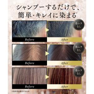 【爆買WEEK15%OFFクーポン】白髪染め ...の詳細画像3