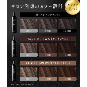 【爆買WEEK15%OFFクーポン】白髪染め ...の詳細画像5