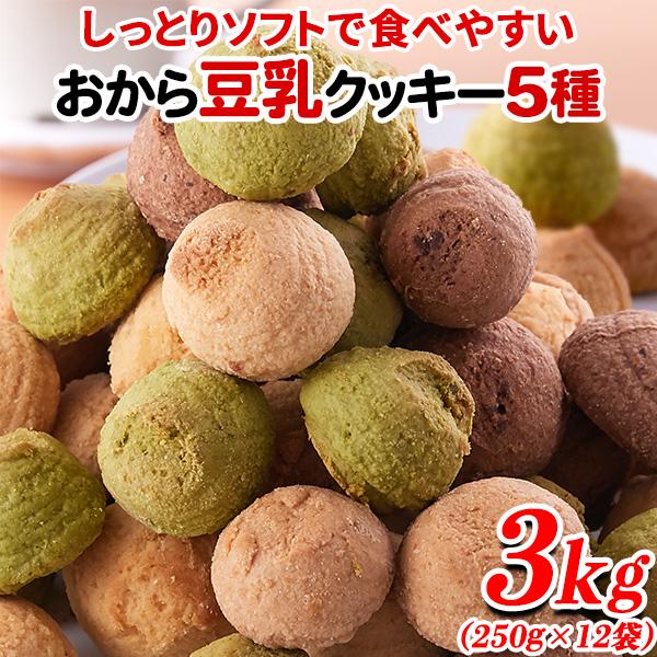 おからクッキー クッキー ソフト 訳あり ダイエット ポイント消化 置き換え スイーツ プチ ギフト...