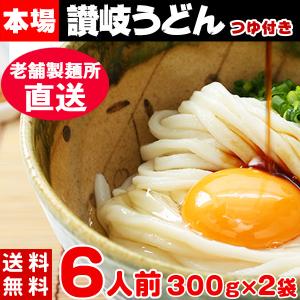 讃岐うどん ざるうどん セール お試し 讃岐  特性ダシ醤油6袋付き 6食分 600g（300g×2袋）〔メール便出荷〕