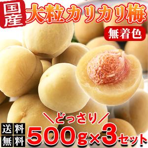 カリカリ梅 梅干し 個包装 駄菓子 熱中症対策 国産 無着色 おつまみ 徳用 大粒 お茶請け お茶菓子 1.5ｋg〔500g×３セット〕｜kiwami-honpo