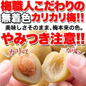 10%OFFクーポン】 カリカリ梅 梅干し 国産 業務用 緑 駄菓子 訳あり 個