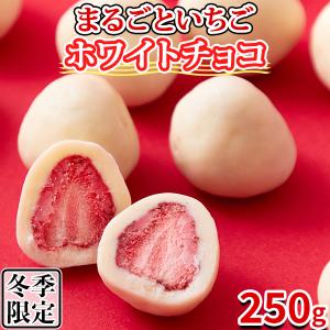 イチゴチョコ 個包装 チョコレート ギフト ホワイトチョコ いちご 苺 チョコ 訳あり スイーツ 人気 大量 洋菓子 常温 250g｜kiwami-honpo