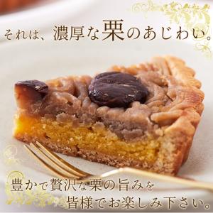 モンブラン タルトケーキ モンブランタルト マ...の詳細画像2