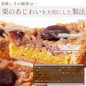モンブラン タルトケーキ モンブランタルト マ...の詳細画像3
