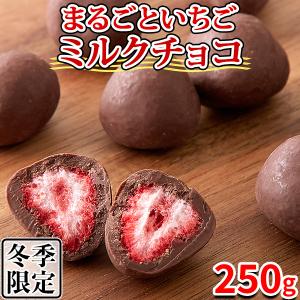イチゴチョコ 個包装 チョコレート ギフト ミルクチョコ いちご 苺 チョコ 訳あり スイーツ 人気 大量 洋菓子 常温 250g｜kiwami-honpo