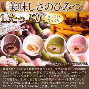 【10%OFFクーポン】 チョコレート 柿チョ...の詳細画像4