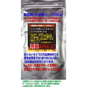 万能調味料 アウトドア キャンプ BBQ ステーキ 究極スパイス0辛 業務用 大容量 250g