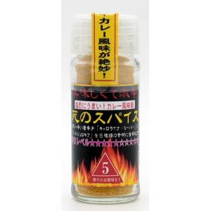 極み！激辛道 美味しくて激辛！調味料「死のスパイス５辛/カレー味 24ｇ瓶入り」（辛さレベル5★★★...